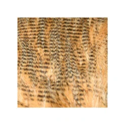 Barred Craft Fur