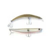 Bent Minnow