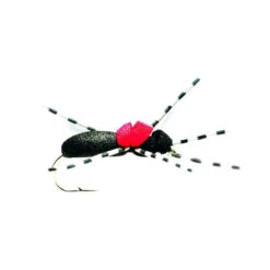 Hi-Vis Black Foam Ant
