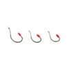 Worm & Dropshot Hooks